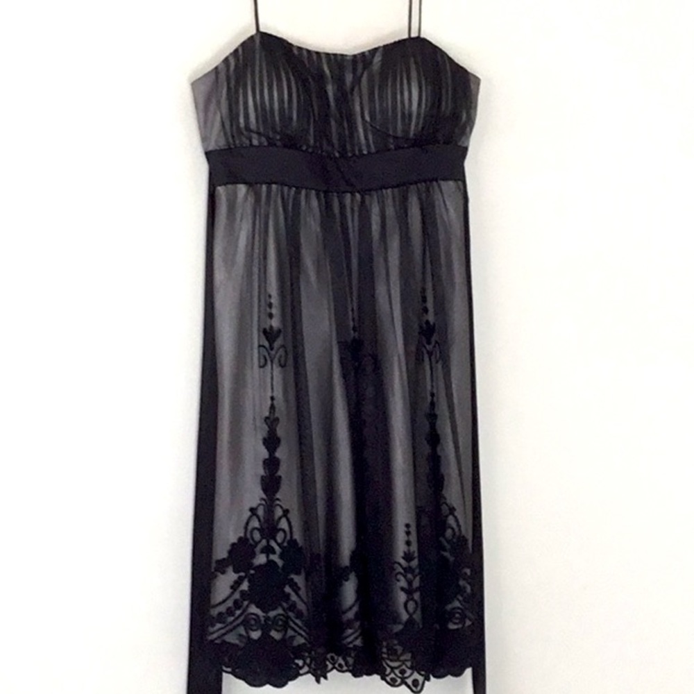 S.L. fashions Black Babydoll Embroidered Dress, Fairy Whimsigoth Victorian Goth